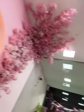 Colibri_Centaura webcam