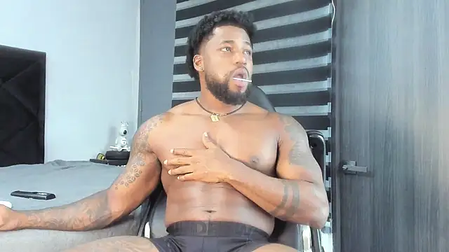 Dancelwashington webcam