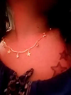 Simple_sover1 webcam