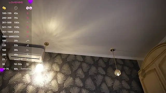 SibleyAllston webcam