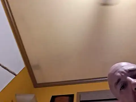 cloudyDadcocks webcam