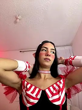 Alice_and_Bunny_ webcam