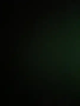 AlexisAndMartina3 webcam