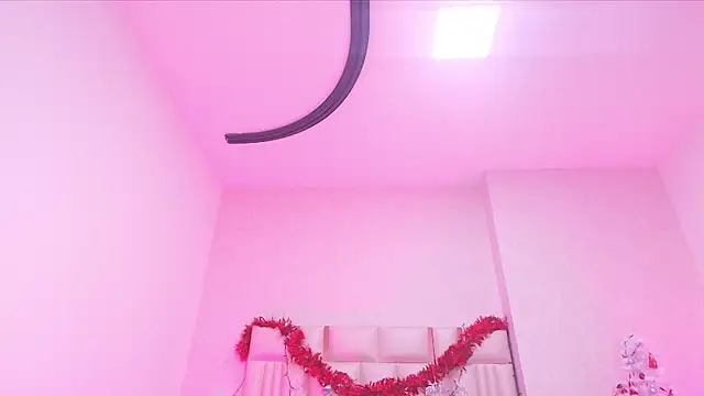 _carolina_fox webcam