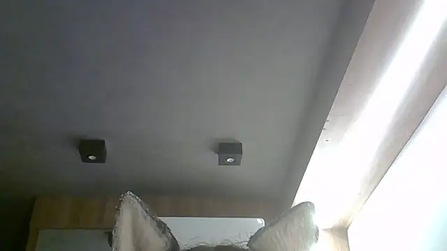 SkinnyKitten webcam