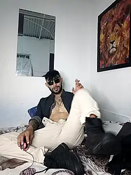 Kingbigcock23cm webcam