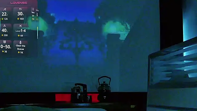 xiaoxiao-5200 webcam