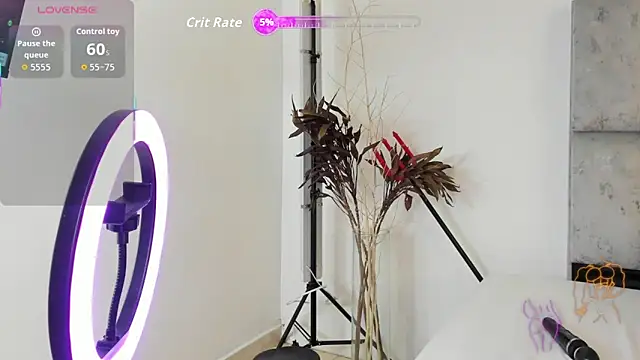 SweetAndSinful webcam