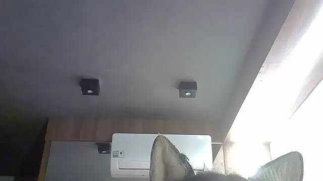 skinnykitten - SkinnyKitten's free webcam