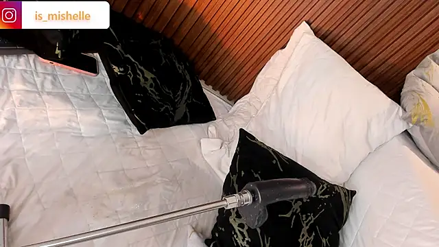 _mishelle webcam