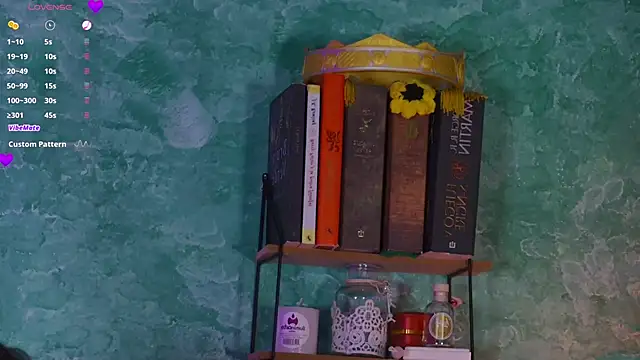 VicenteFerrer webcam