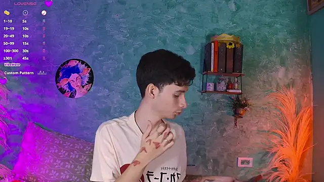 VicenteFerrer webcam