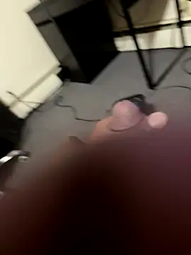 Cameltoekilla webcam