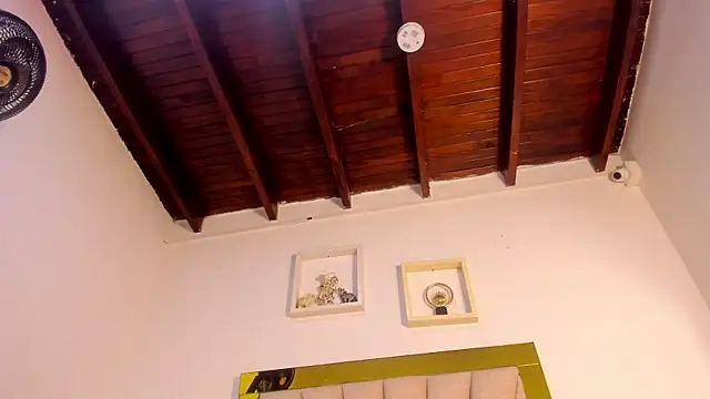 vahiolet_fuentes webcam