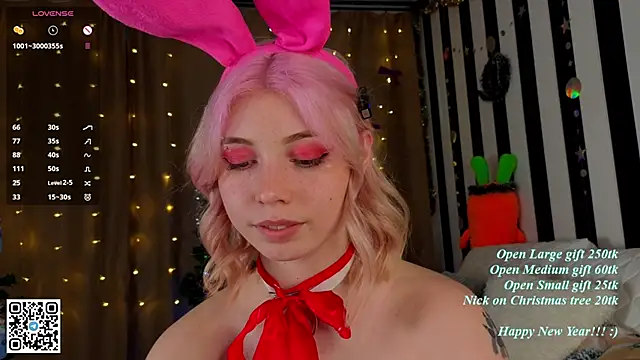 SibleyDurborow webcam