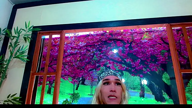 britanny_noroeste webcam