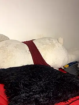 Henry_villa23 webcam