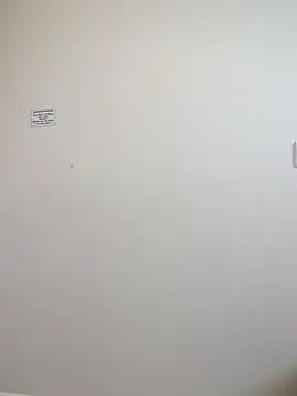 _Princess_mary webcam