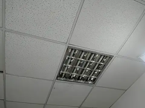 Aisha_hotts777 webcam