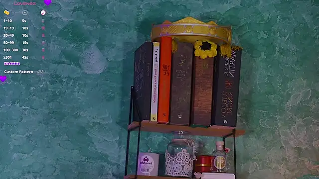 VicenteFerrer webcam