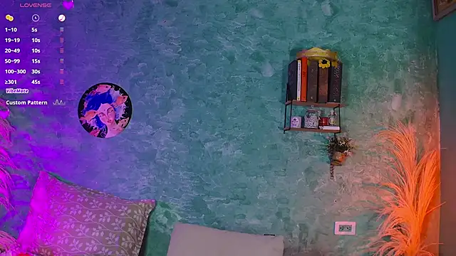 VicenteFerrer webcam