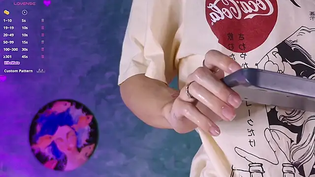 VicenteFerrer webcam