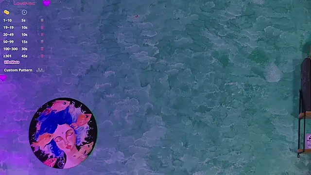 VicenteFerrer webcam