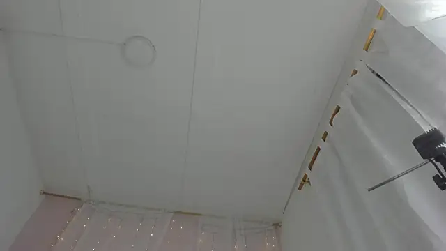 Preview of brenda_lot