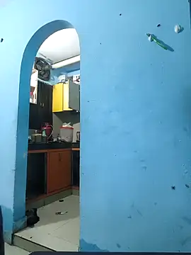 DeSi_hot_young_couple webcam