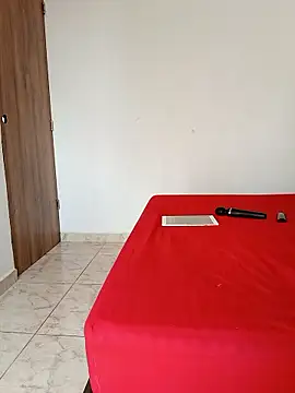 LEIRIS_Y_FRED_01 webcam