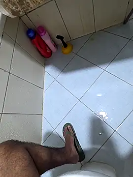 dream_catcher webcam