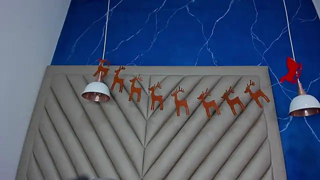 Ibbie_drastic webcam