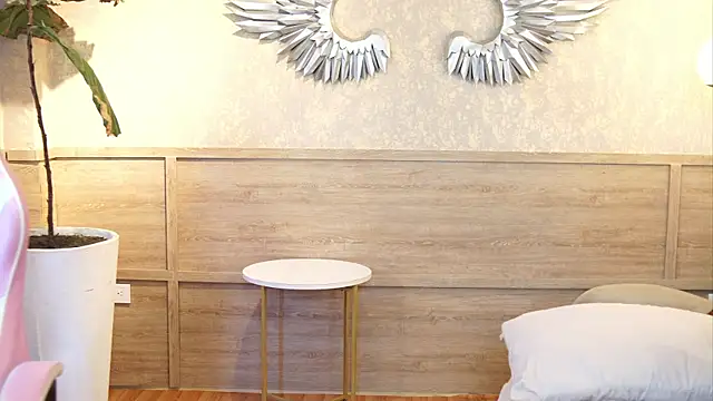 Ethan_occonor webcam