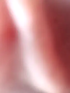 Tequilamaster webcam