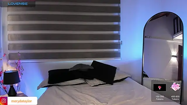 MERIDA_TAYLOR webcam