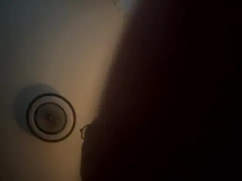 friemeldepiemel webcam