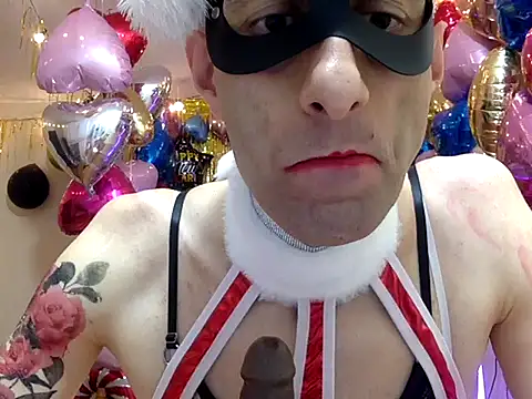 HandsomeAlfie webcam