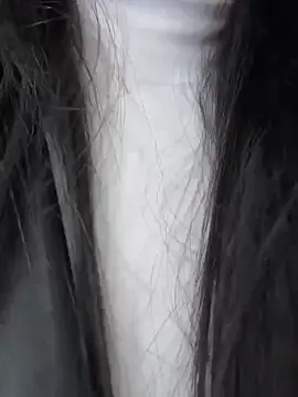 _Bella-Office1 webcam