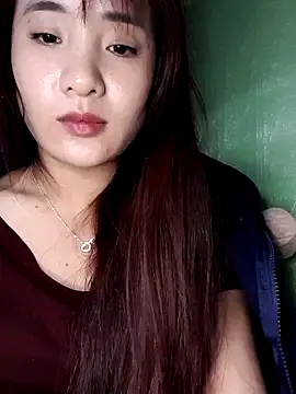 Linksys_nicee webcam