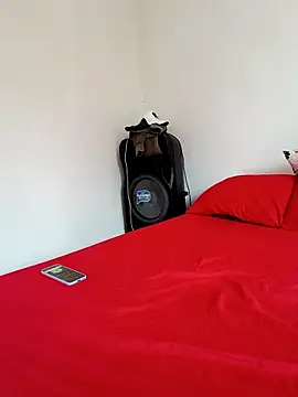 LEIRIS_Y_FRED_01 webcam