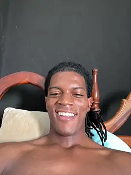 KingBlack25cm webcam