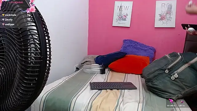 OncomingPeople webcam