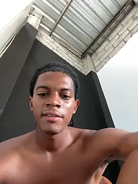 KingBlack25cm webcam