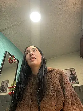 SALOME_KORLAND webcam