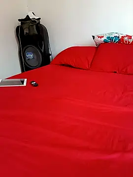 LEIRIS_Y_FRED_01 webcam