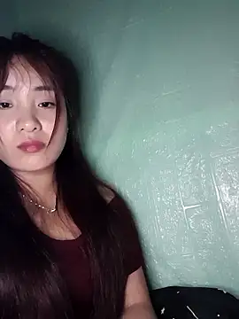 Linksys_nicee webcam