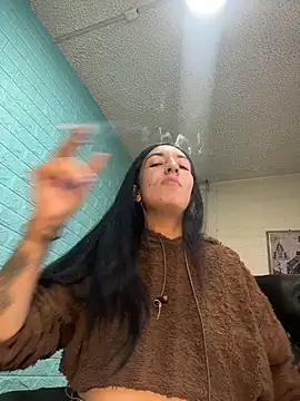 SALOME_KORLAND webcam