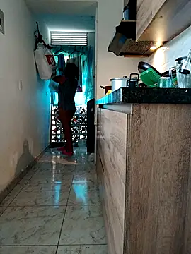 LEIRIS_Y_FRED_01 webcam