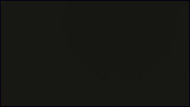 Geisha_Seniers webcam