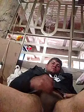 TattyFoxglove webcam